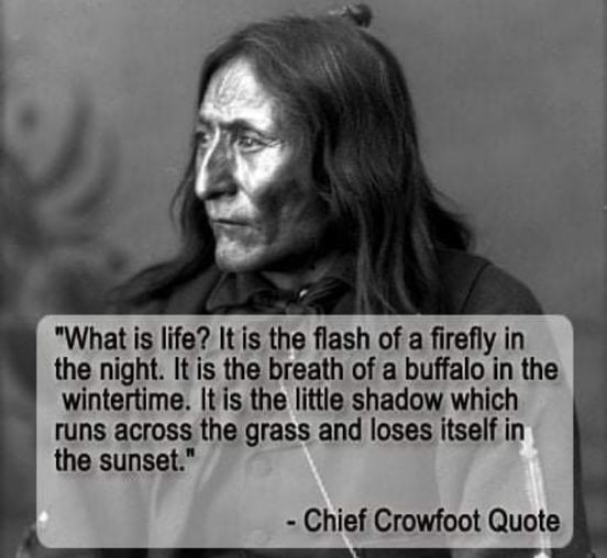 Chief Crowfoot