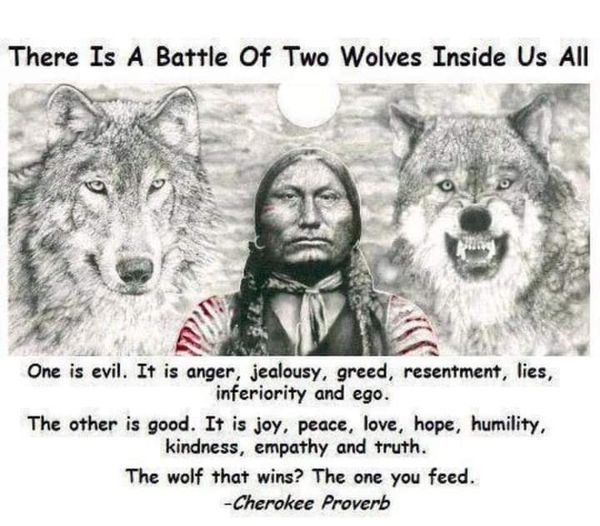 Two Wolves